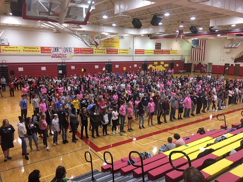 Freshmen and pink-clad LINK leaders play games in Coronados gym on freshmen first day.