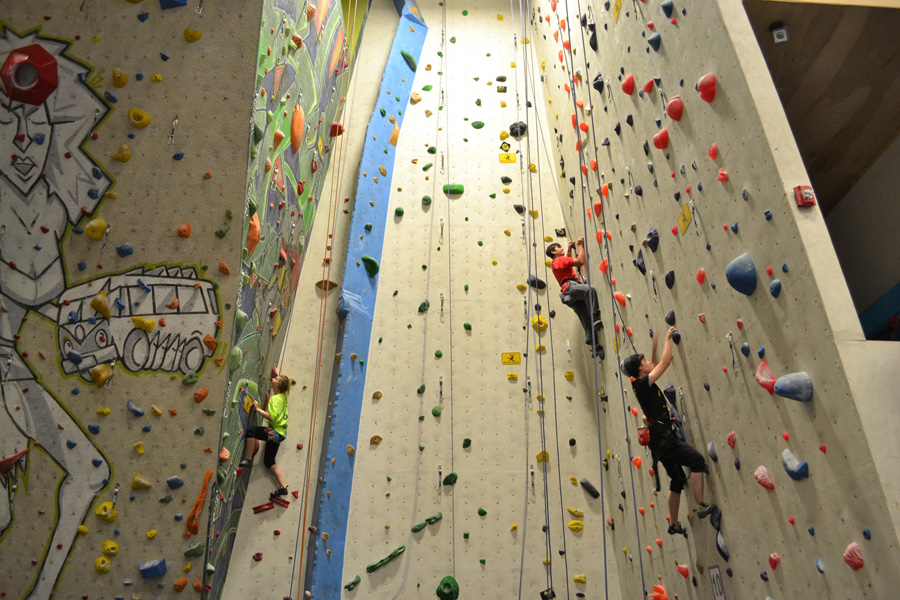 Cougars Flourish in First Climbing Competition