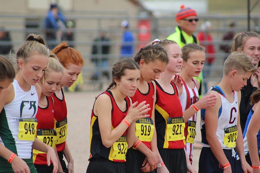 Confident in their running abilities and their season, but leery of the competition, the Cougars toe the line at State.