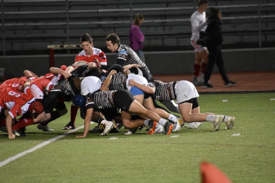 These rugby players are all bunched together doing some rugbying.
