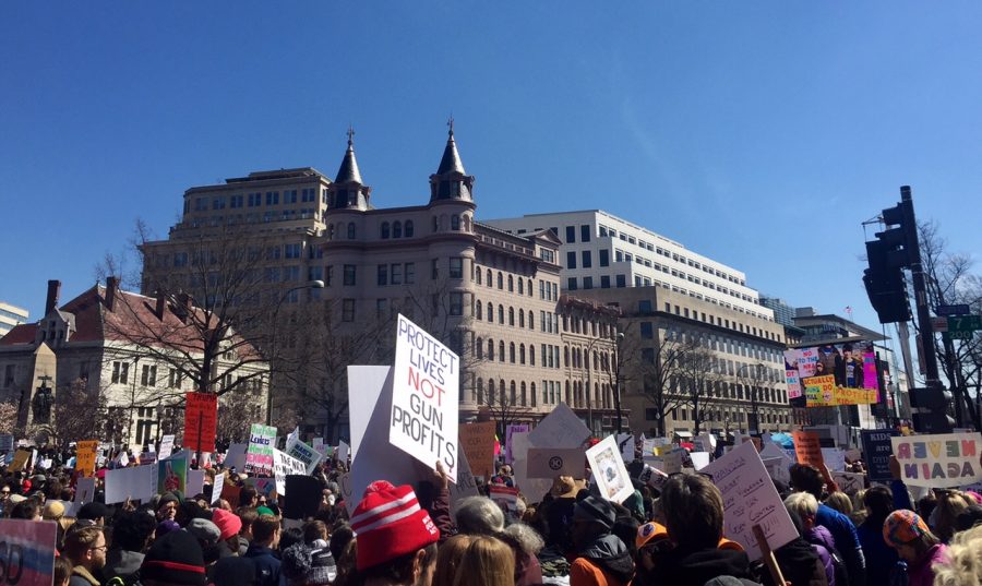 Protesters on March 24th during the March for our Lives protest. 