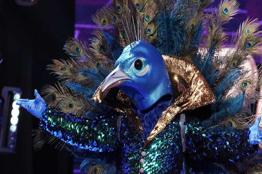 The Masked Singer dares to dangle the question ... who is the Peacock?