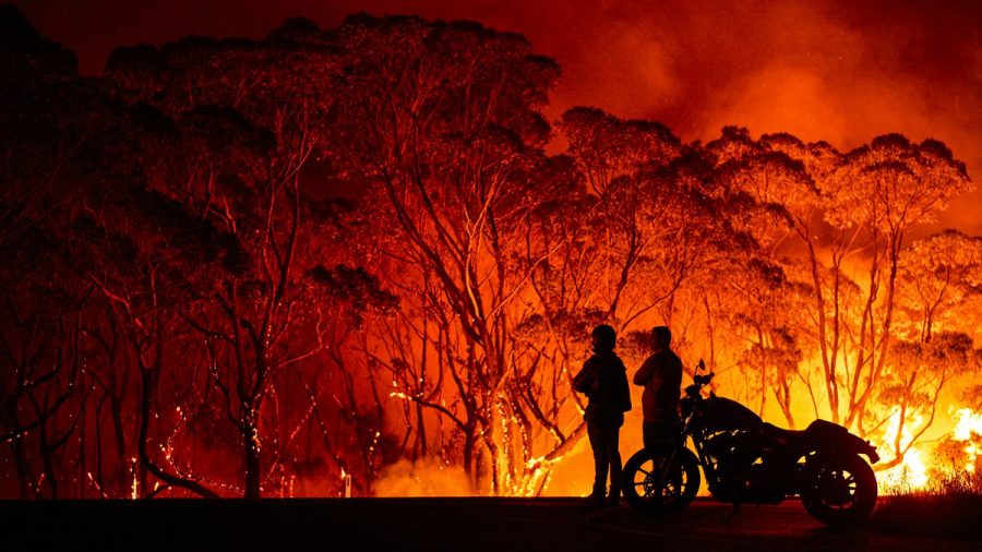 Exploitation of the Australia Bush Fires: Avoiding Scammers