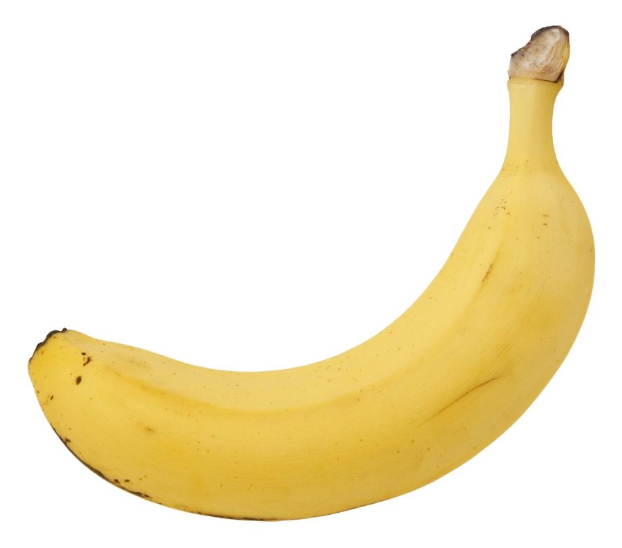 Beginning of the Broad Banana Banishment