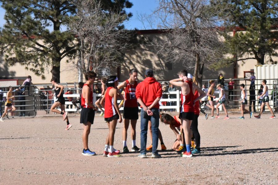 Cougars at the Cross Country State Meet