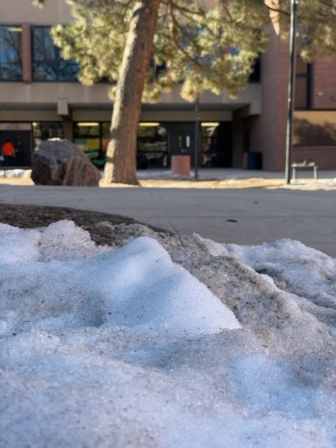 A dirty lump of snow in the courtyard that probably won’t melt till May, maybe April.
