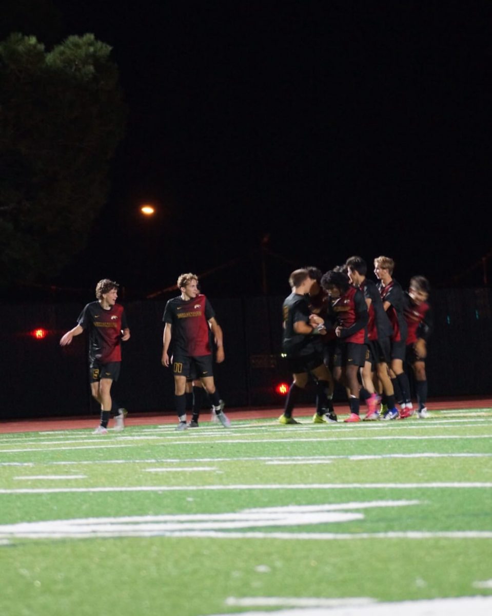 boys soccer team, smiling under the lights